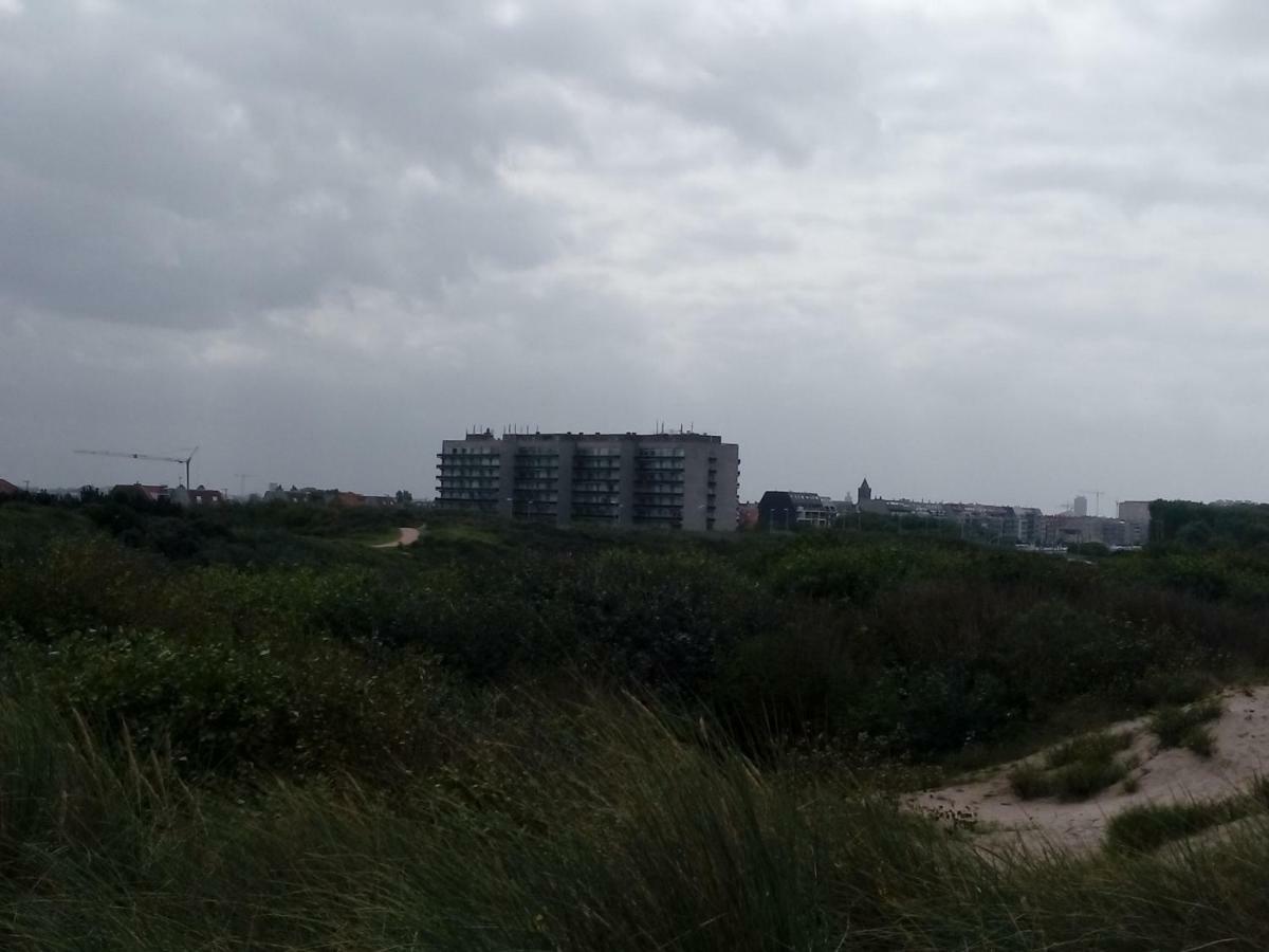 Duinenzicht Appartement